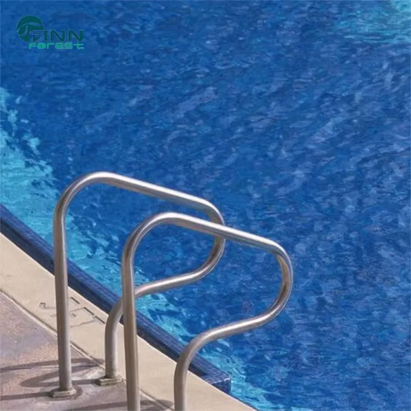 Afneembare roestvrijstalen zwe - Swimming Pool Safety Handrail Stainless recensie en prijs